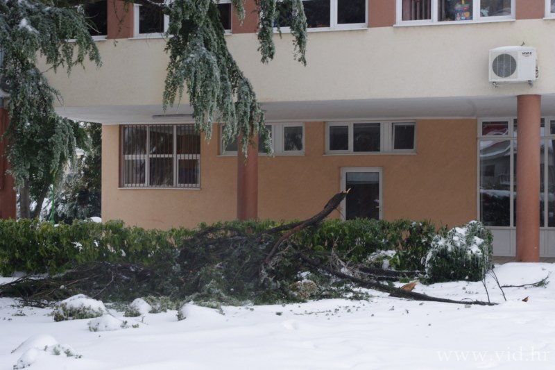 Metkovic (24)